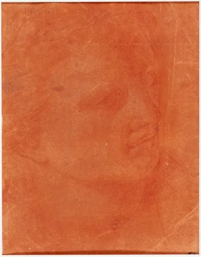 Head in Three-Quarter Profile (recto); Standing Young Man Pointing Left and Sketches of Feet, Arm (verso)