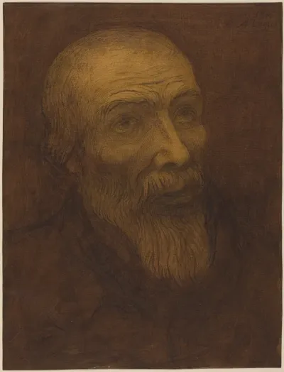 Head of a Bald Man with a Beard