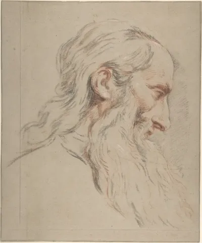 Head of a Bearded Man