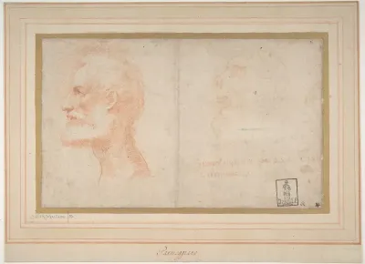 Head of a Bearded Man in Profile to Left, possibly the Portrait of the Poet Giorgio Anselmi (ca. 1459-1528), with Faint Sketch of a Skull-like Head