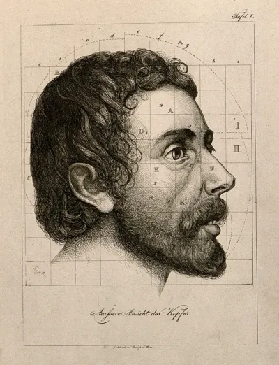 Head of a bearded man seen in profile, with proportions marked