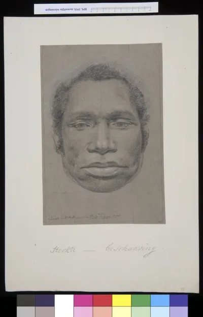 Head of a black man, frontal view