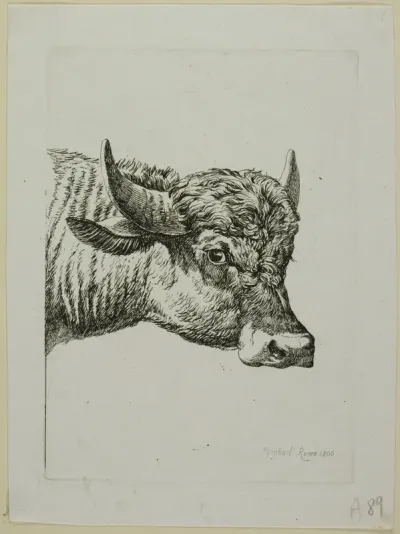 Head of a Buffalo, from Die Zweite Thierfolge
