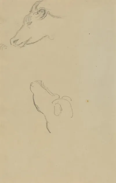 Head of a Cow [recto]