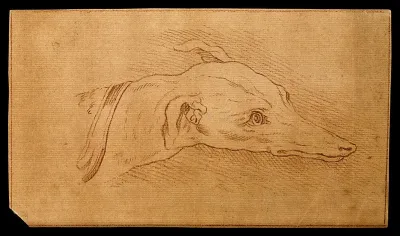 Head of a dog. Drawing, c. 1789