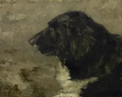 Head of a dog: Nero