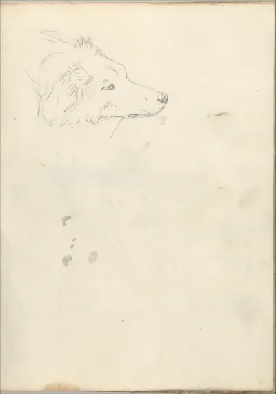 Head of a dog (Smaller Italian sketchbook, leaf 35 recto)
