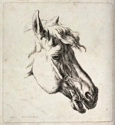 Head of a horse