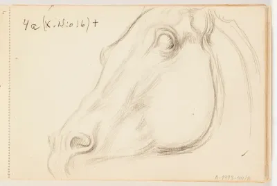 Head of a Horse