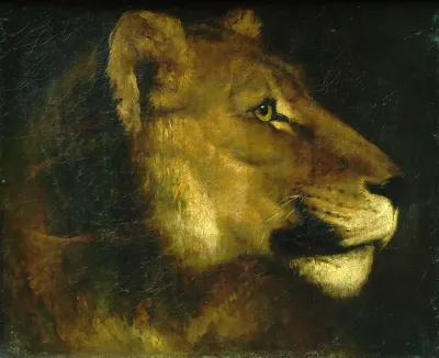 Head of a lion