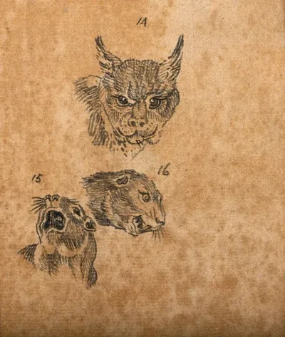 Head of a lynx and two figures of the head of a beaver