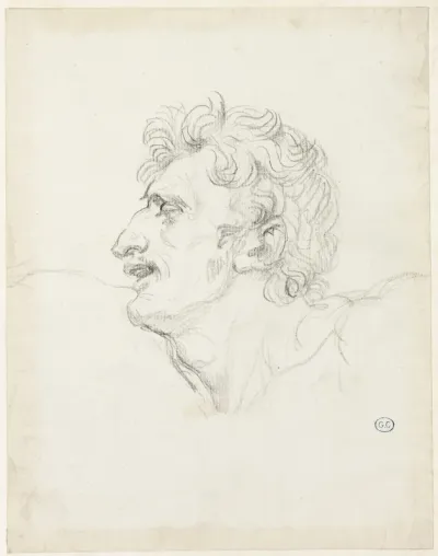 Head of a Man, Left Profile