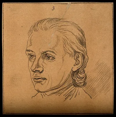 Head of a man whose physiognomy shows prudence and ingenuity