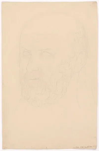 Head of a Man with Curly Beard