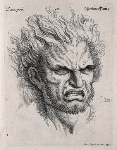 Head of a man with hair raised, expressing despair