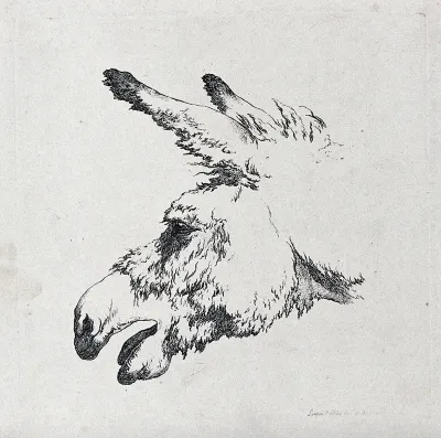 Head of a mule with its mouth open