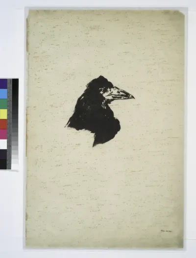 Head of a Raven in Profile, from The Raven