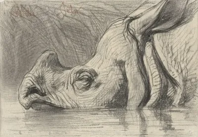 Head of a Rhinoceros, Half Submerged in the Water