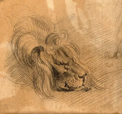 Head of a sleeping lion