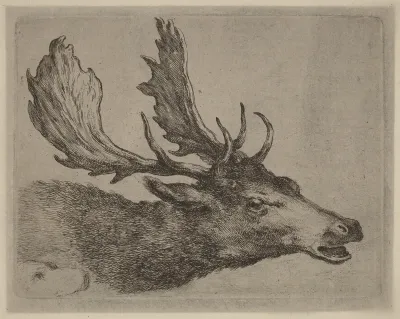 Head of a Stag Turned Right