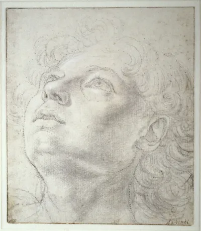 Head of a Young Boy (recto) - Engelskopf