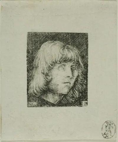 Head of a Young Man