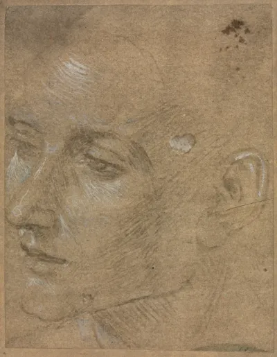 Head of a Young Man