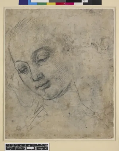 Head of a Young Woman in Three-Quarter View (verso)