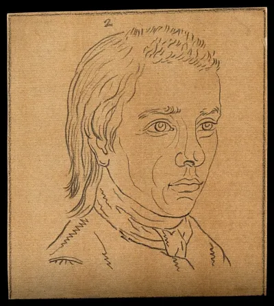 Head of a youth