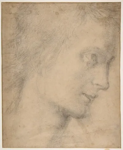 Head of a Youth in Profile (recto); Study of a Seated Figure (verso)