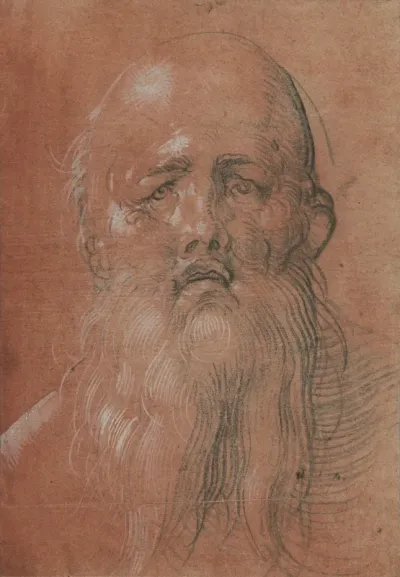 Head of an Old Man