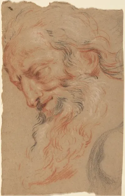 Head of an Old Man
