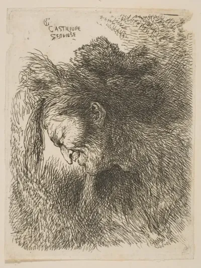 Head of an old man looking down, facing left, from "Small Studies of Heads in Oriental Headress"