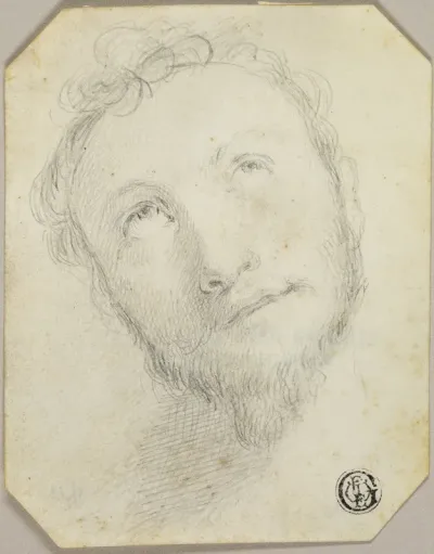 Head of Bearded Man Looking Upwards
