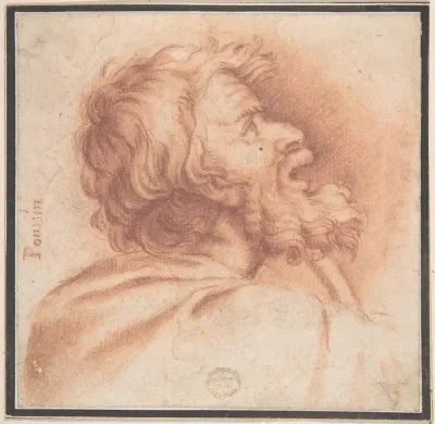 Head of Bearded Old Man Shown in Profile, Looking Up