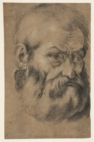 Head of beared man (recto), Study of an apostle (verso)