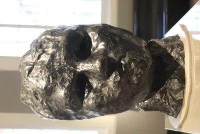 Head of Iris