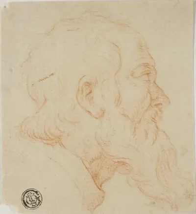 Head of Old Man in Profile to Right