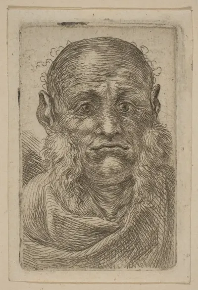 Head of Old Man