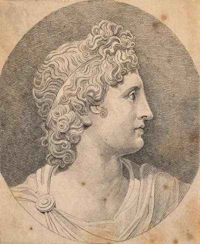 Head of the Apollo Belvedere statue in the Vatican