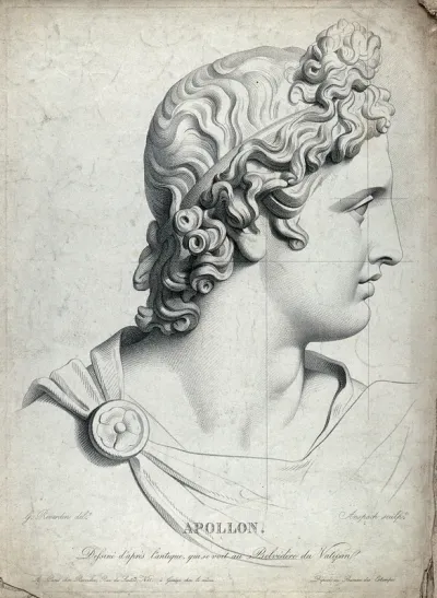 Head of the Apollo Belvedere