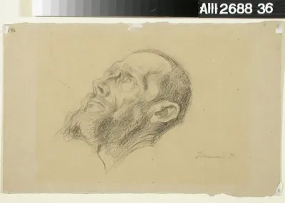 Head of the Man