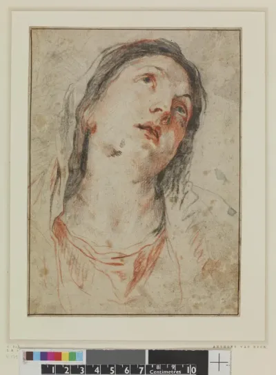 Head of the Virgin, study for a painting