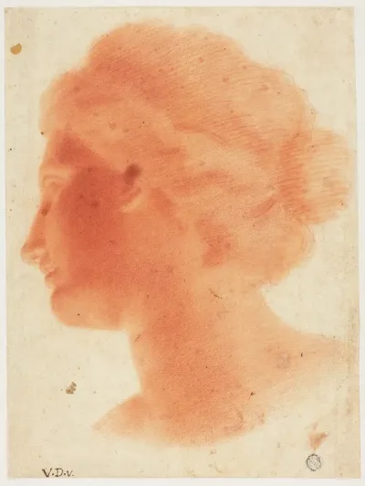 Head of Venus de Medici