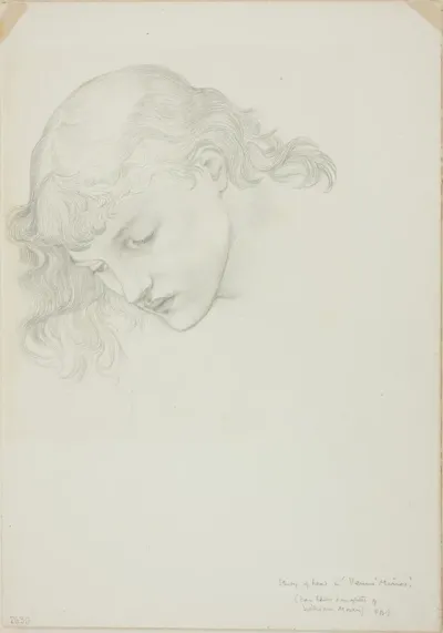 Head, Study for Mirror of Venus