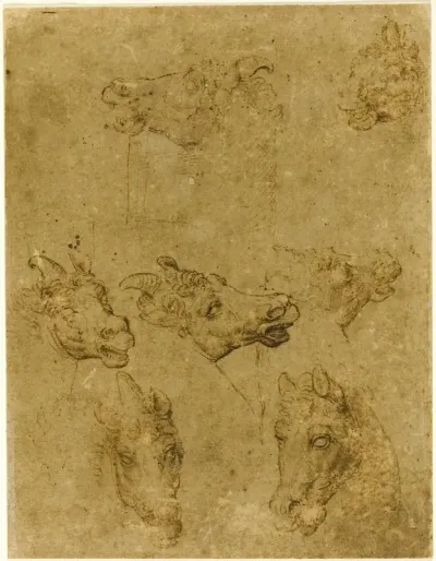 Heads of Horses and Unicorns