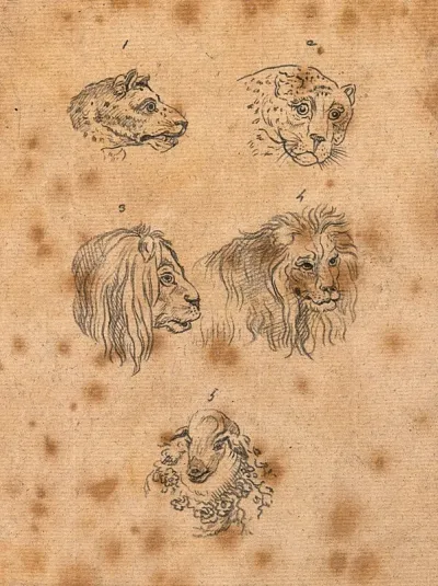 Heads of leopards, lions, and a sheep