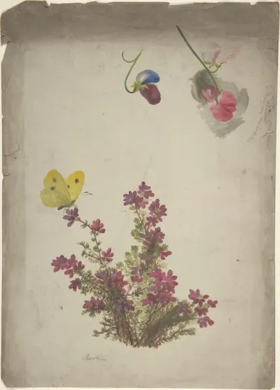 Heather, Sweet Peas and Butterfly