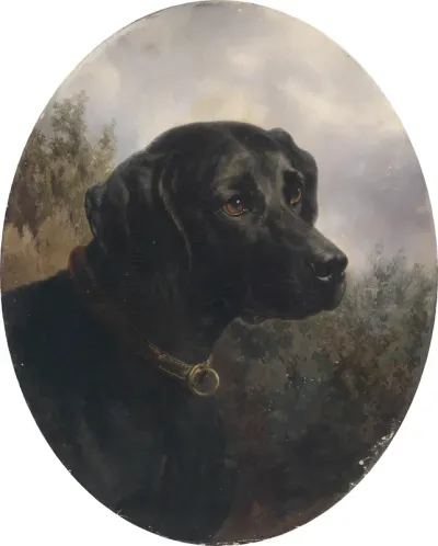 Hector, Vorstehhund des Arthur Ritter v. Schnapper