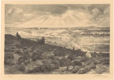 Heide bij Laren